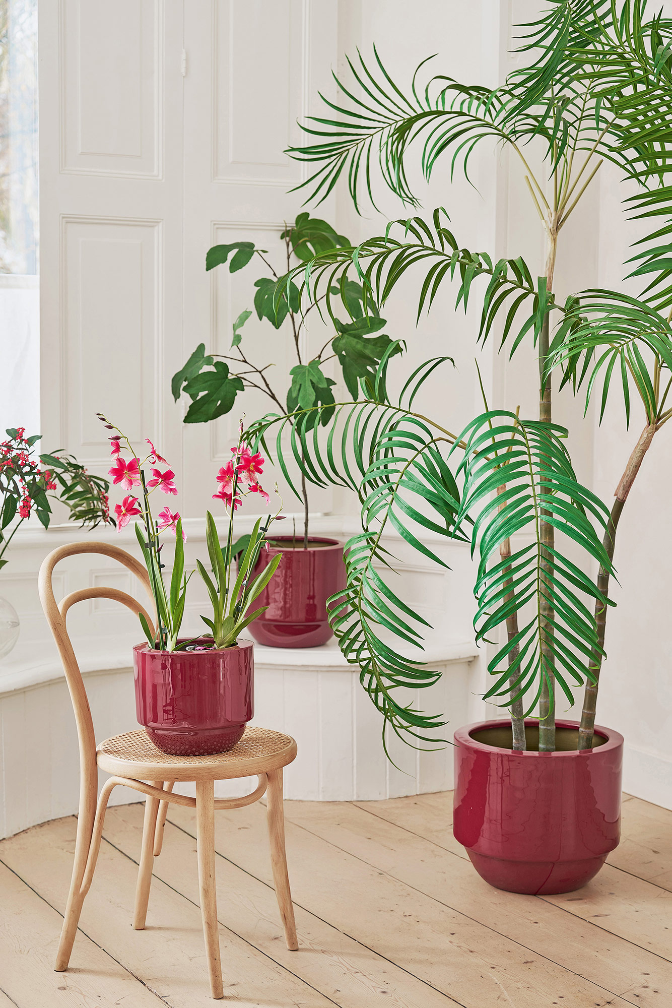 Pip Studio Blumentopf | pink