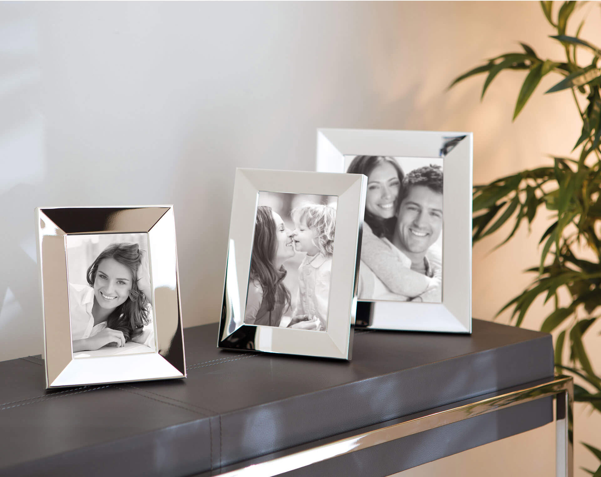 Fink Bilderrahmen THEA | versilbert