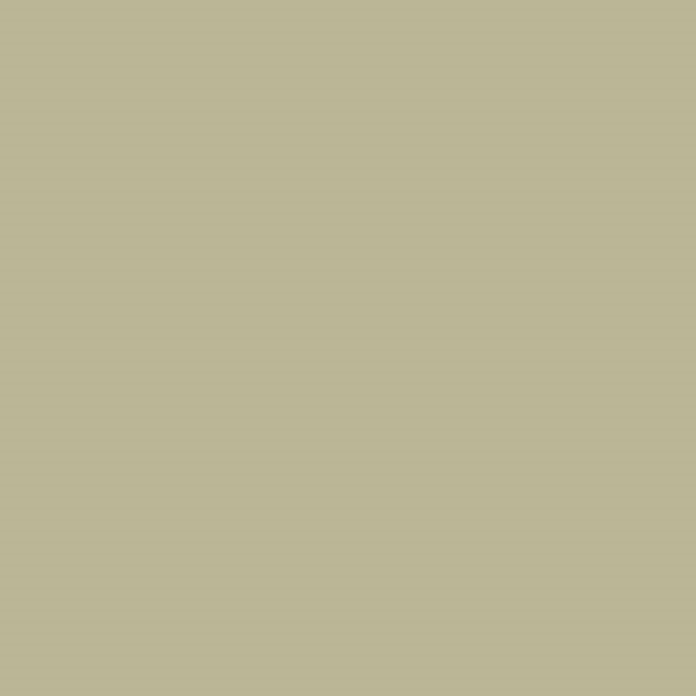 Formesse Spannbettlaken Bella Donna Jersey | 532 Pistazie