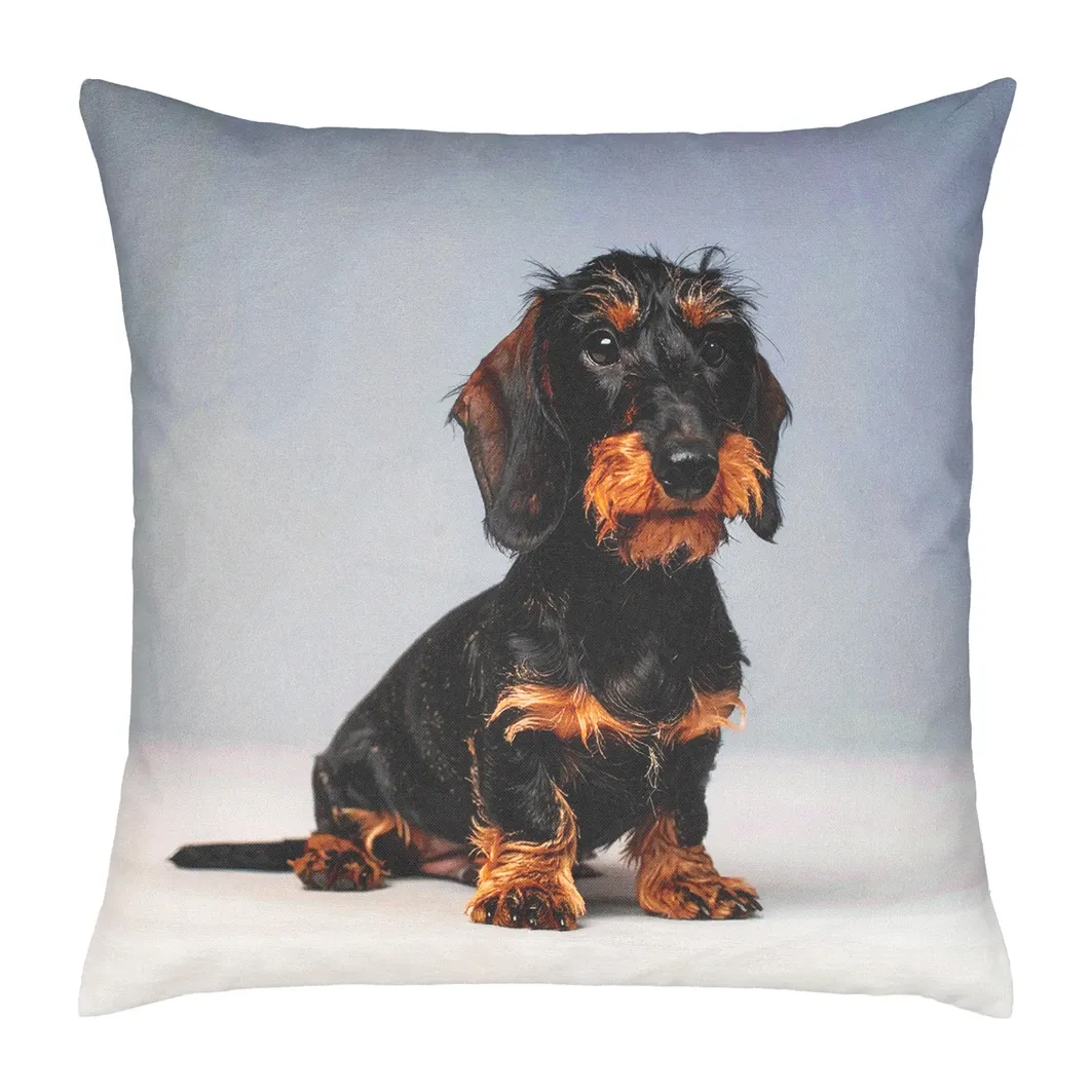 Pad Kissenhülle Proflax Bodo | grey