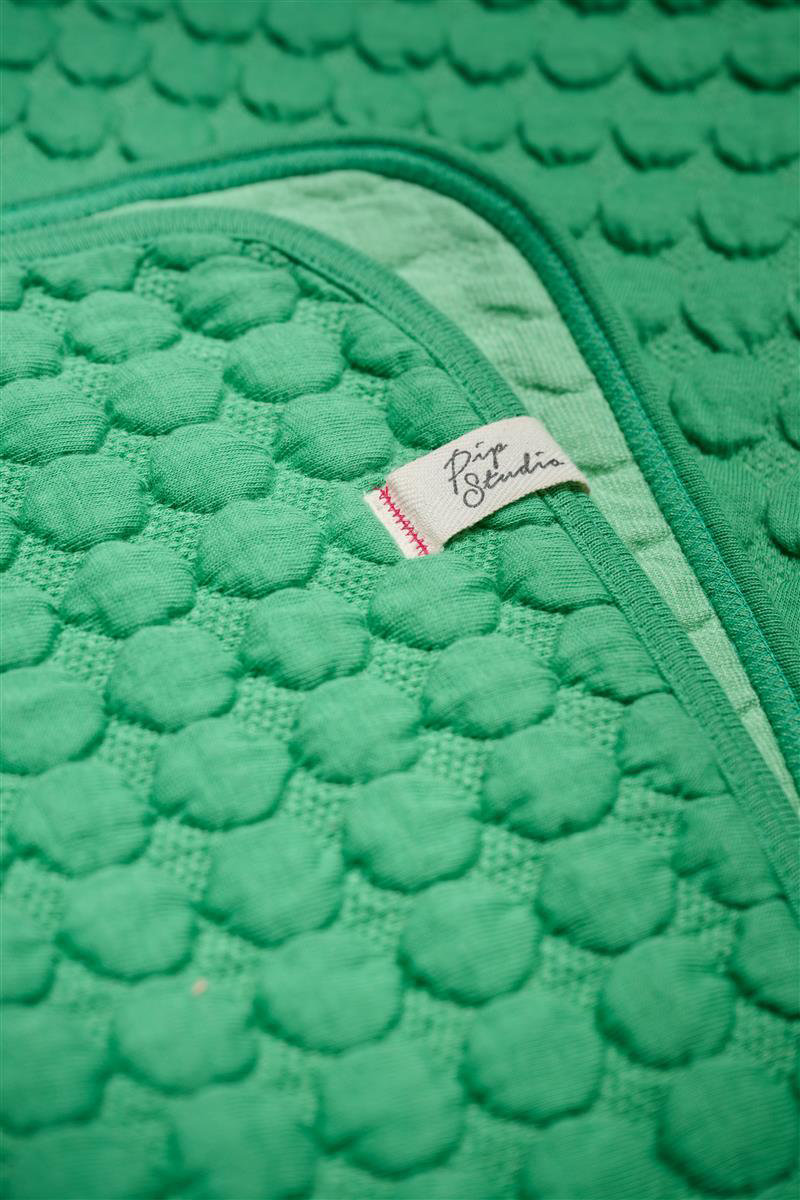 Pip Studio Plaid Fill in the dots | grün